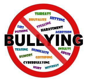 bullying includes these things